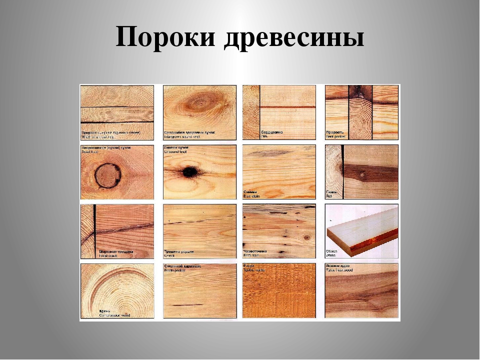 Пороки древесины фото: что это такое и какие особенно распространены .