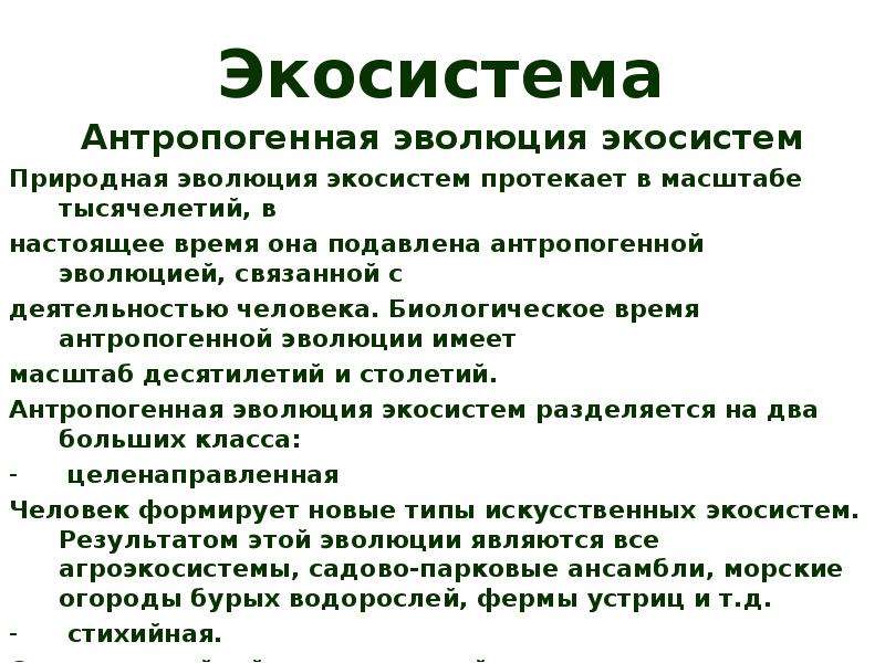 Настоящее время биологическое. Антропогенная жкосистемы. Стадии развития экосистем. Состояние экосистемы. Развитие и Эволюция экосистем..