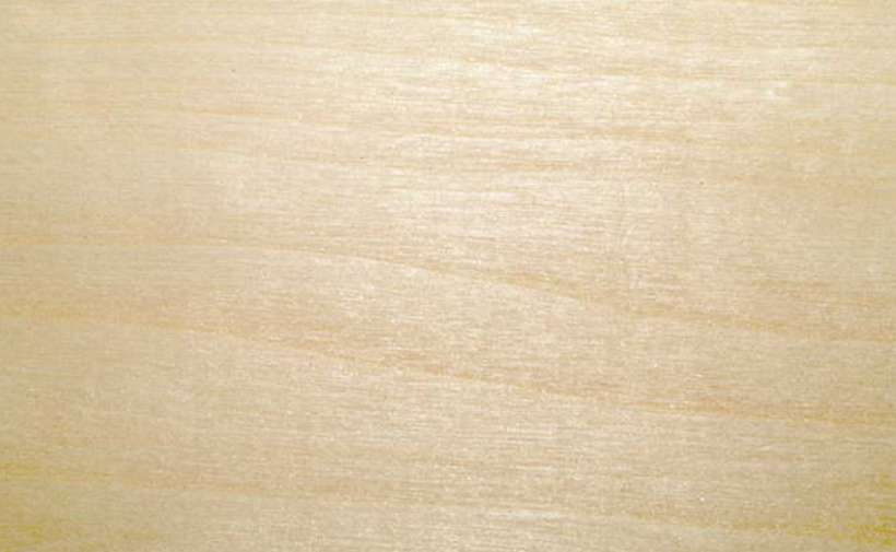 Липа текстура: Липа, описание древесины липы для паркета — Интернет магазин  мебели МебПилот.ру — широкий выбор, низкие цены!
