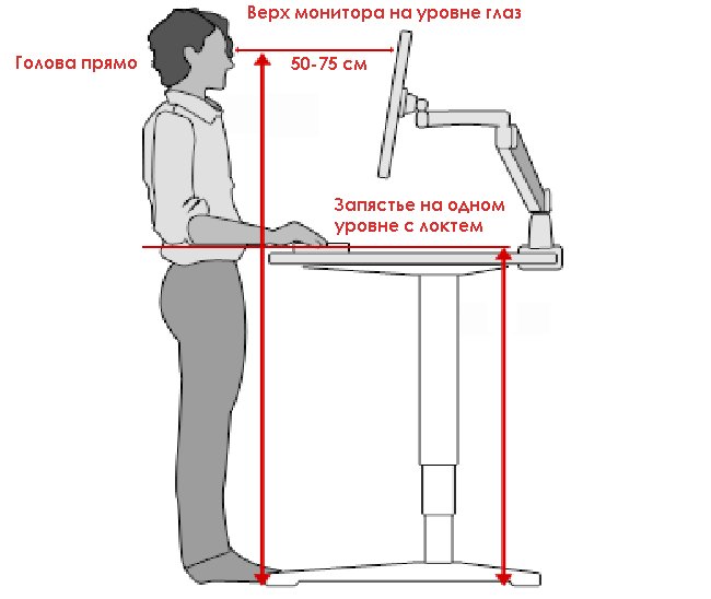 Stand height. Высота стоячего стола. Высота стола для работы стоя. Оптимальная высота рабочего стола. Эргономичная высота для стола стоя.