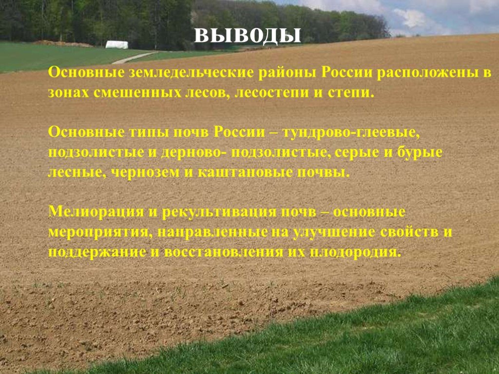 Лесостепь почва. Главные типы почв России. Почвенные ресурсы презентация. Вывод о почвах России. Почвы России презентация.