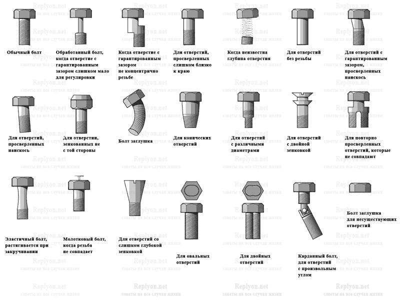 Разновидности болтов фото с названиями