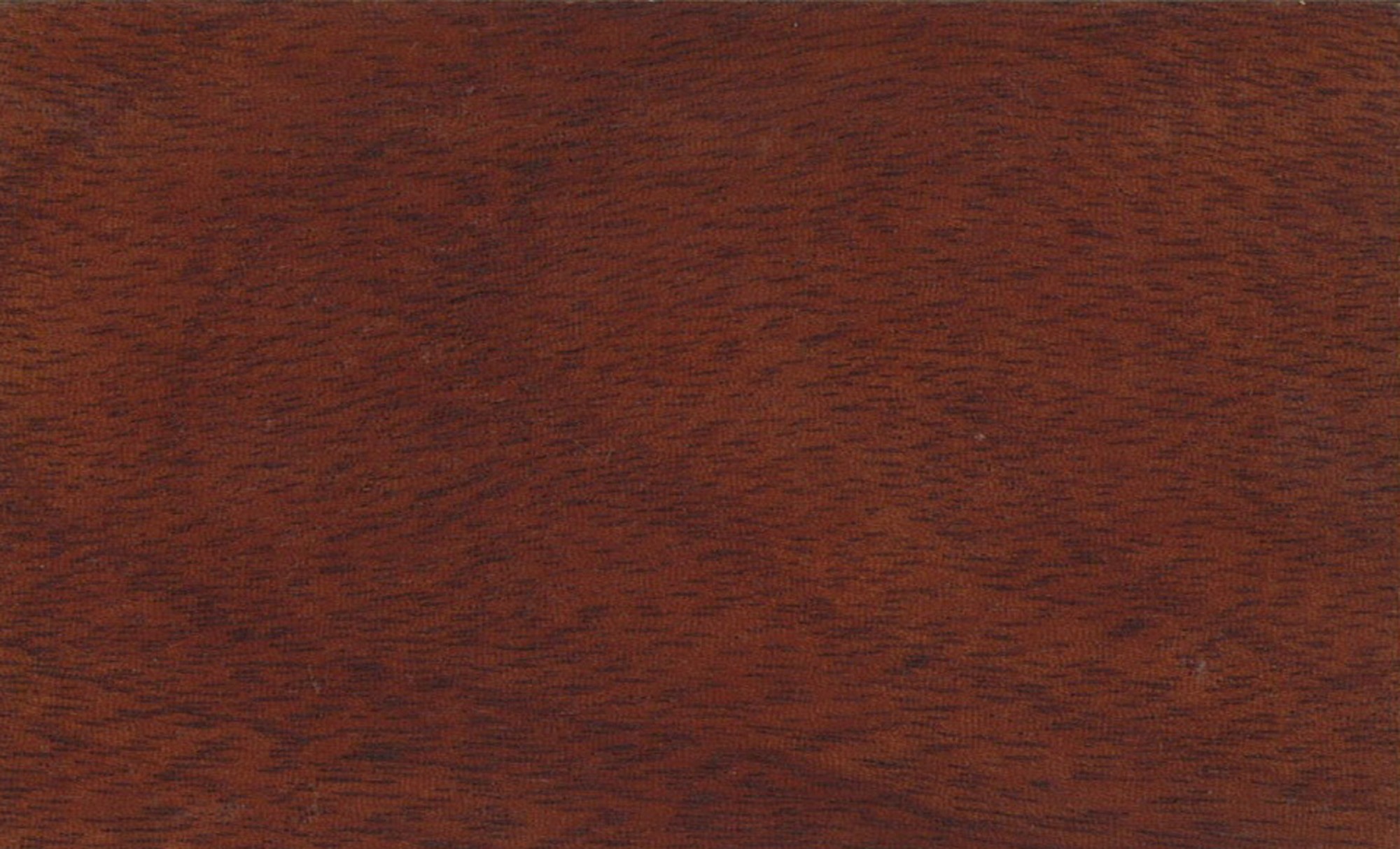 Как выглядит цвет махагон. Красное дерево махагон. Red Mahogany дерево. Махагон дерево текстура. Махагони дерево цвет.