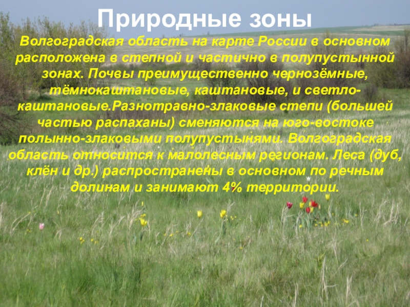 Природная зона имеет более разнообразный состав. Природные зоны Волгоградской области. Растительный мир Волгоградской области. Особенности природы Волгоградской области. Разнообразие природы Волгоградской области.