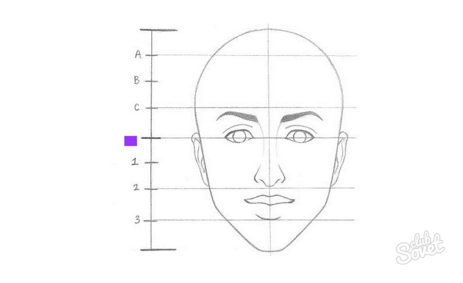 Как нарисовать лицо поэтапно карандашом