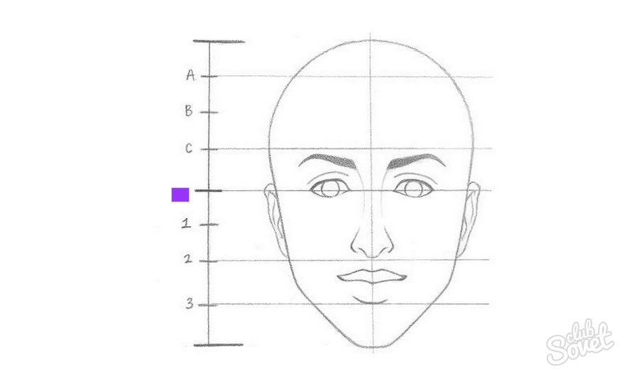Лицо девушки схема как рисовать