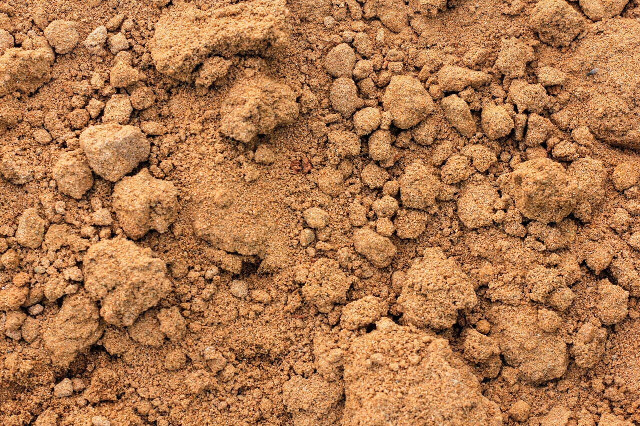 Рыхлая порода 4. Глинистые и песчаные почвы. Песочный суглинок. Грунтовый песок. Суглинок пылевидный.