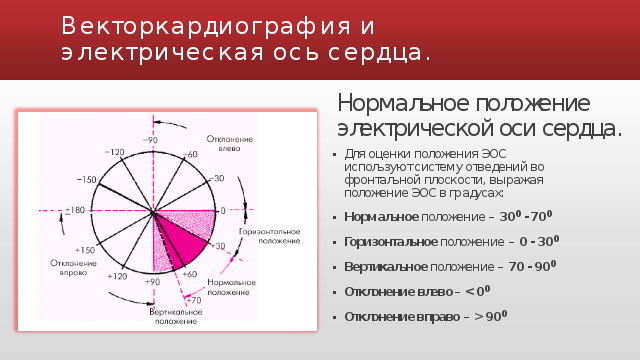 Ось градус. Электрическая ось сердца положение градусы. Электрическая ось сердца на ЭКГ норма. Нормальное положение ЭОС угол Альфа. Ось сердца на ЭКГ по градусам.