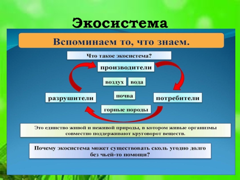 Проект на тему экосистема