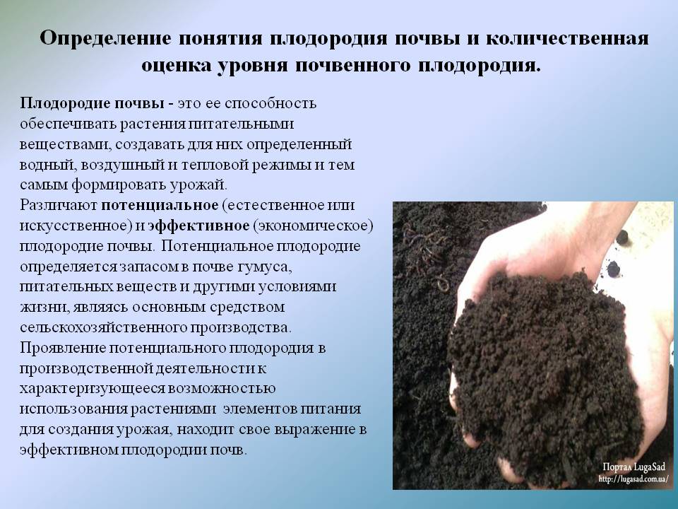 Повышение плодородие почвы называется. Улучшение плодородия почвы. Понятие плодородие почвы. Состав почвы. Методы повышения плодородия почвы.