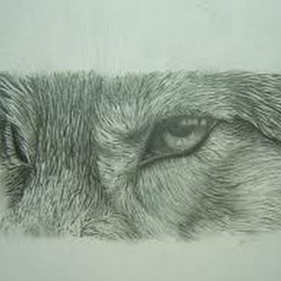 Шерсть карандашом. Зарисовки шерсти животных. Рисунки животных карандашом. Реалистичные рисунки карандашом.